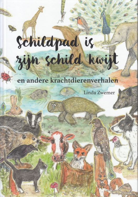 Schildpad is zijn schild kwijt