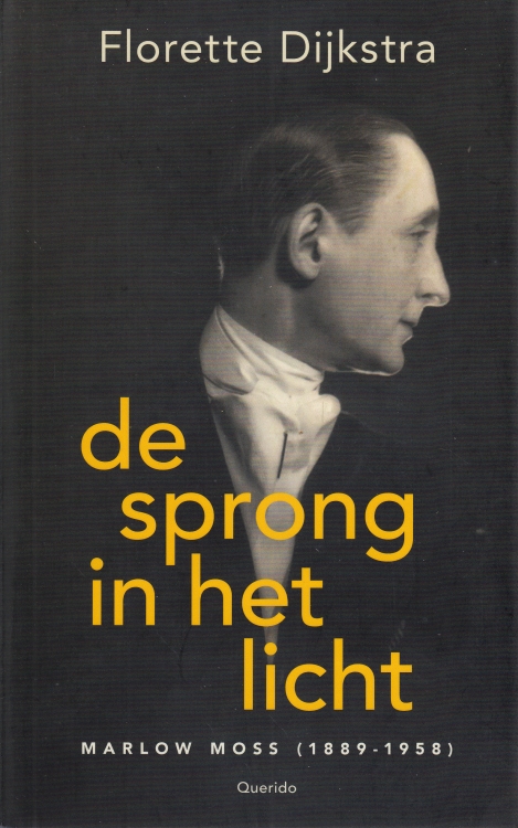 De sprong in het licht