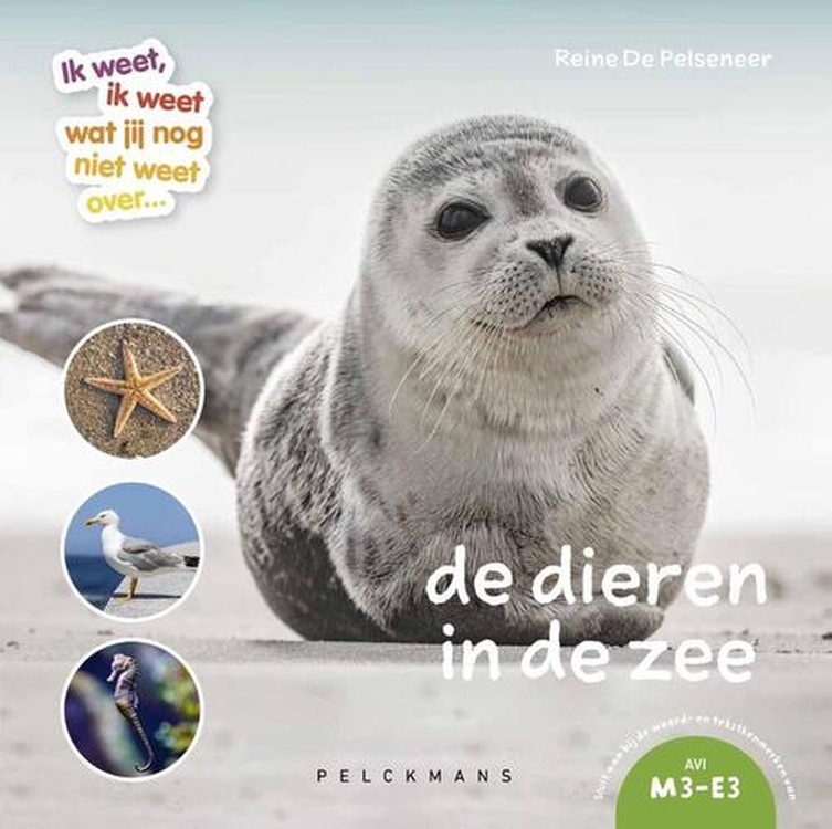 De dieren in de zee